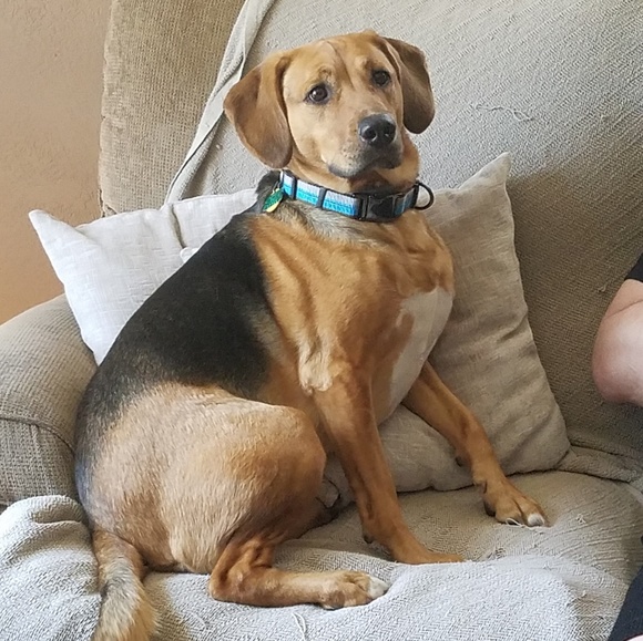 Meet your Posher, Sharon - Picture 1 of 1